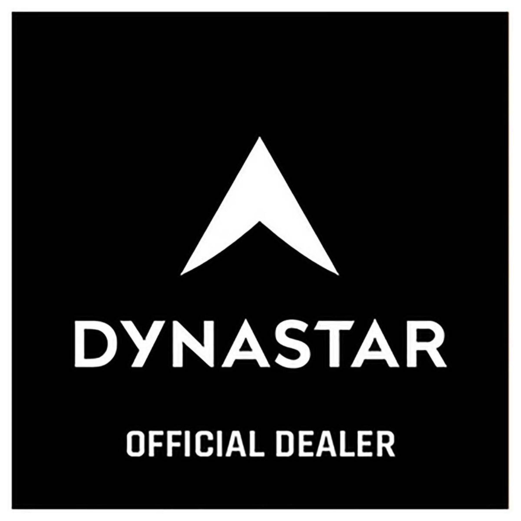 Aufkleber Dynastar L2 official dealers