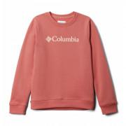 Kindersweatshirt Columbia Sweat Park
