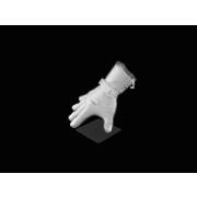 Handschuhe Reusch Alexis Pinturault Gtx + Gore Grip Technology