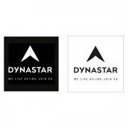 Aufkleber Dynastar L10 corporate