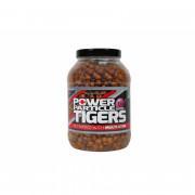 Vorbereitete Saatgut-Tiger Mainline avec additif Multi-Stim 3kg